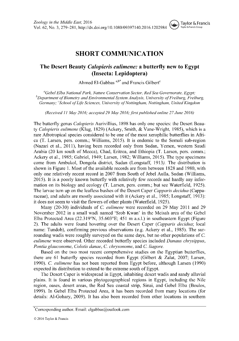 Ahmed El-Gabbas, Francis Gilbert - 2016 - The Desert Beauty Calopieris eulimene: a butterfly new to Egypt
