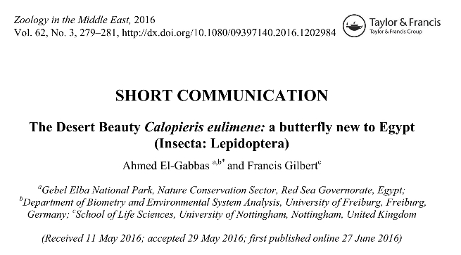 Ahmed El-Gabbas, Francis Gilbert - 2016 - The Desert Beauty Calopieris eulimene: a butterfly new to Egypt